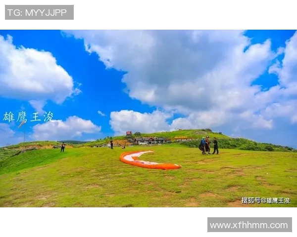 极限运动战术解析：杭州极限运动队的创新区域防守体系探讨与实践