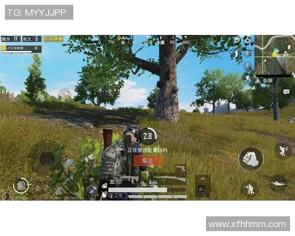 黄丽独家分享和平精英游戏心得与技巧助你快速提升战斗力