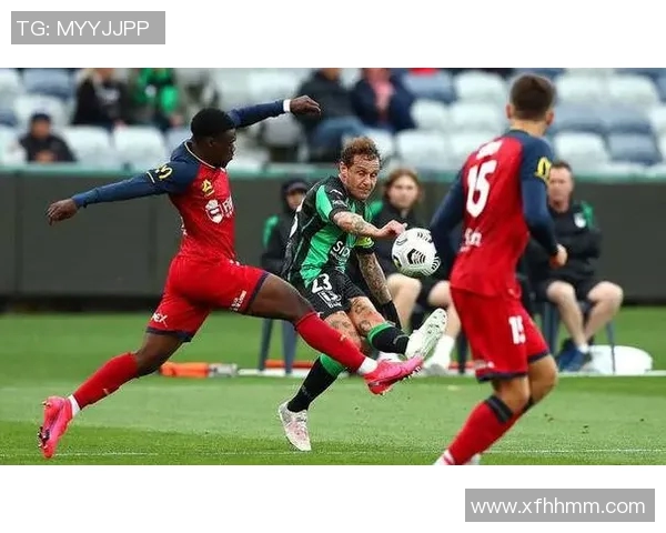 广州网球队以52分领跑锦标赛积分榜展现强劲实力和竞争优势